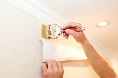 Pose de papier peint à Mayronnes — revêtements muraux et toiles de verre